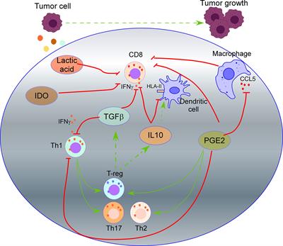 Tumor Secretome to Adoptive Cellular Immunotherapy: Reduce Me Before I Make You My Partner